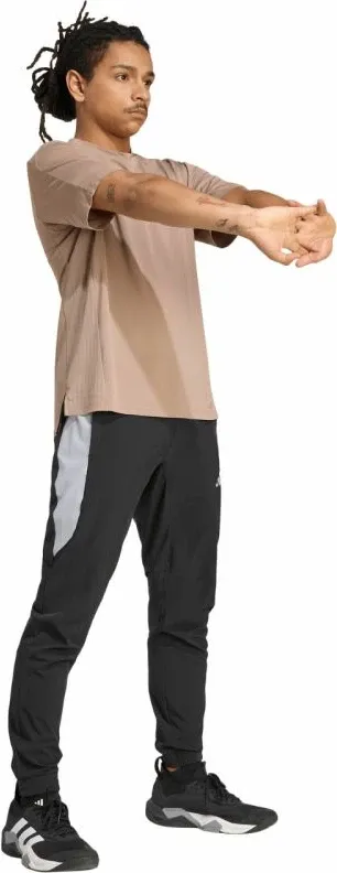 Pamja 6