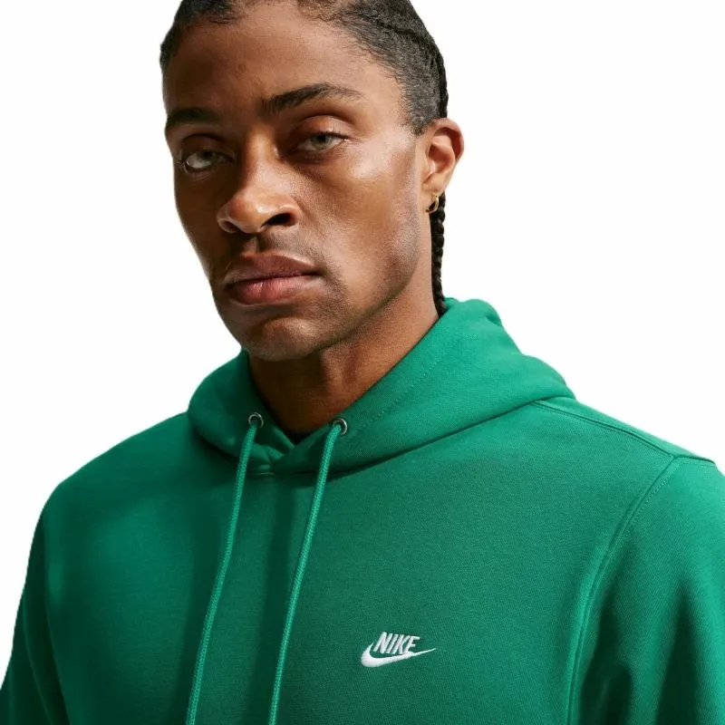 Pamja 3
