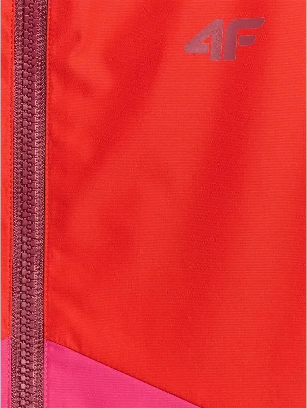 Pamja 8