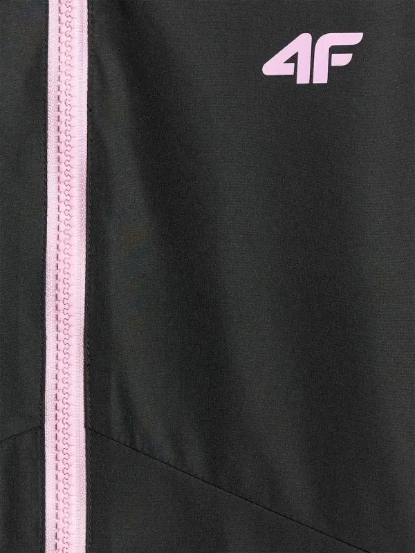 Pamja 9