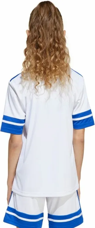 Pamja 4
