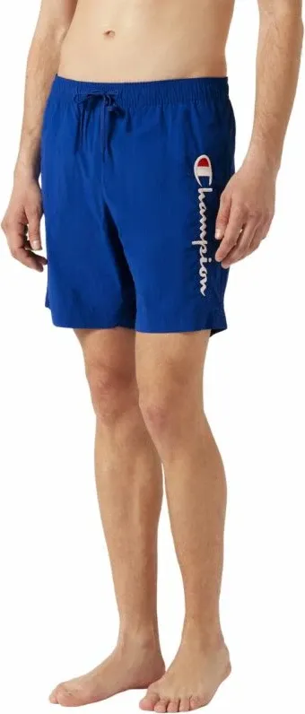 Pamja 4