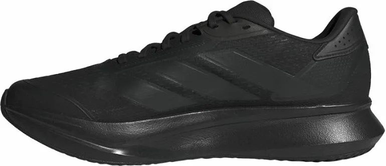 Pamja 2