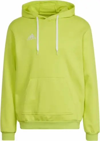 Duks për meshkuj adidas Entrada 22, jeshil