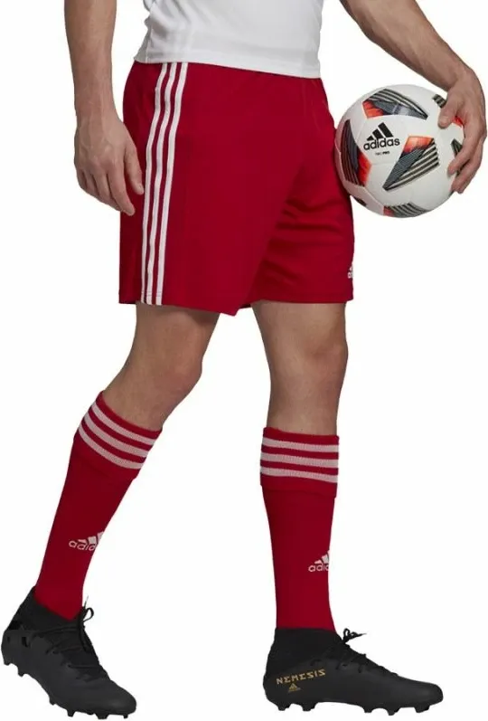 Pamja 3
