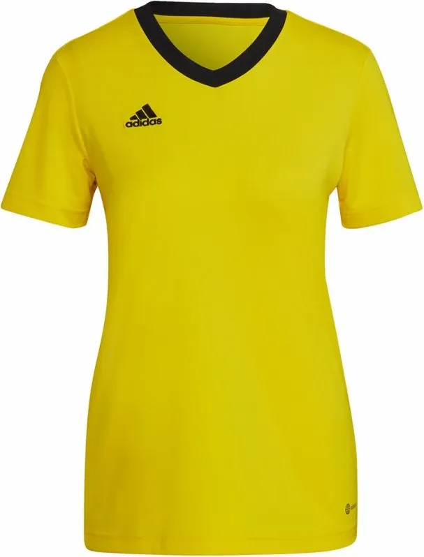 Pamja 1