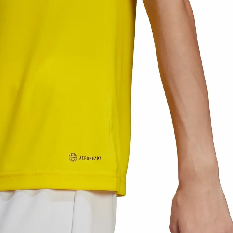 Pamja 6