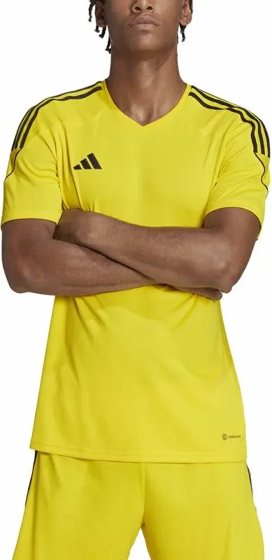 Pamja 6
