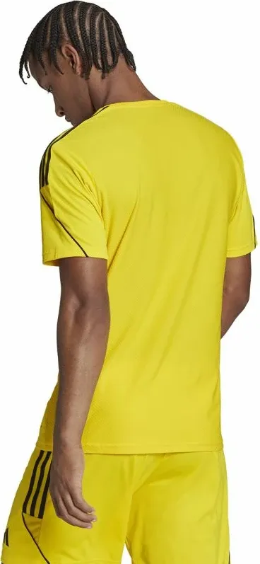 Pamja 7