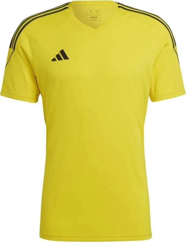 Pamja 4