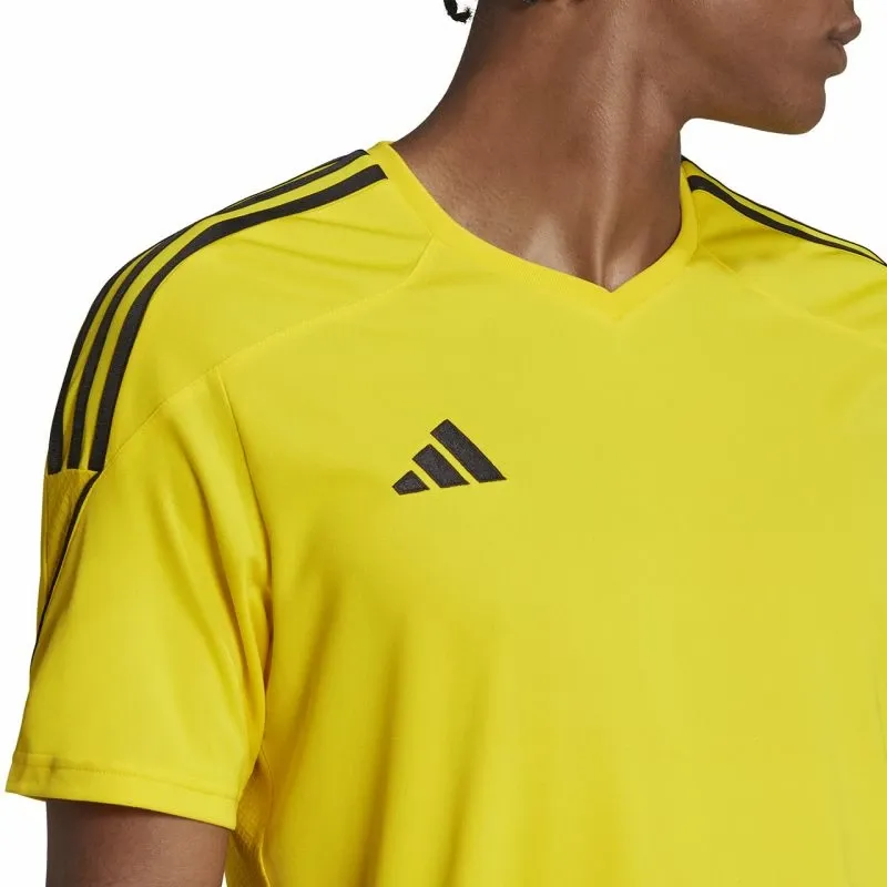 Pamja 10