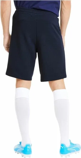 Pamja 4