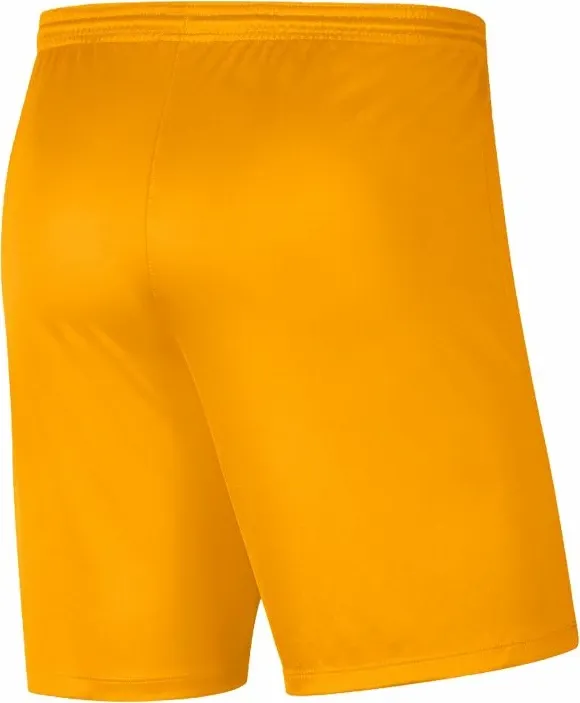 Pamja 3