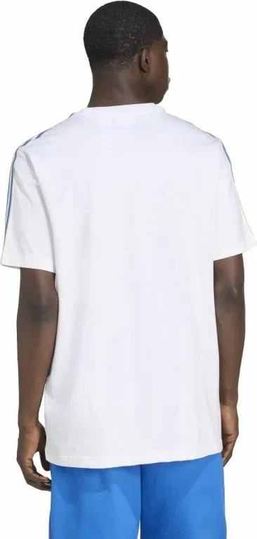 Pamja 3