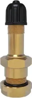 Valvul tubeless Trayal 8102, vrimë 9.7 mm, ari/zezë