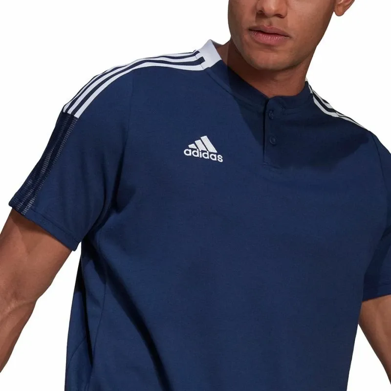 Pamja 6