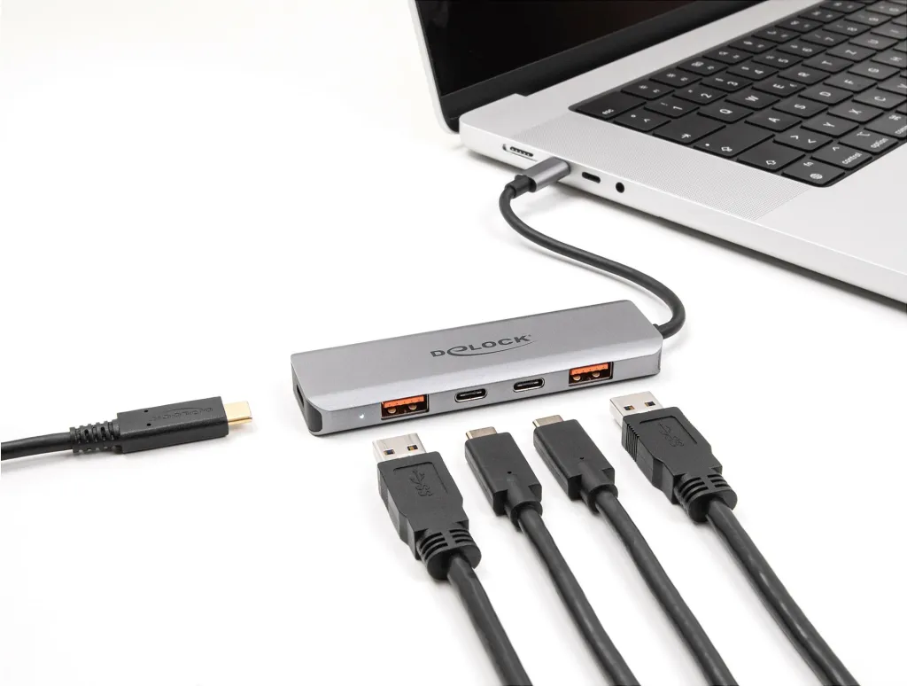 USB hub DeLOCK, 2x USB-A + 2x USB-C, 10 Gbps, PD 95W, gri - 2