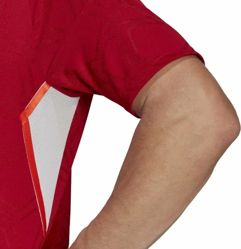 Pamja 6