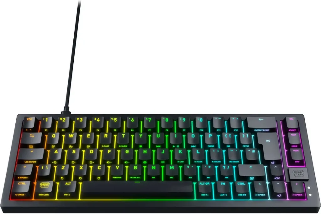 Pamja 4