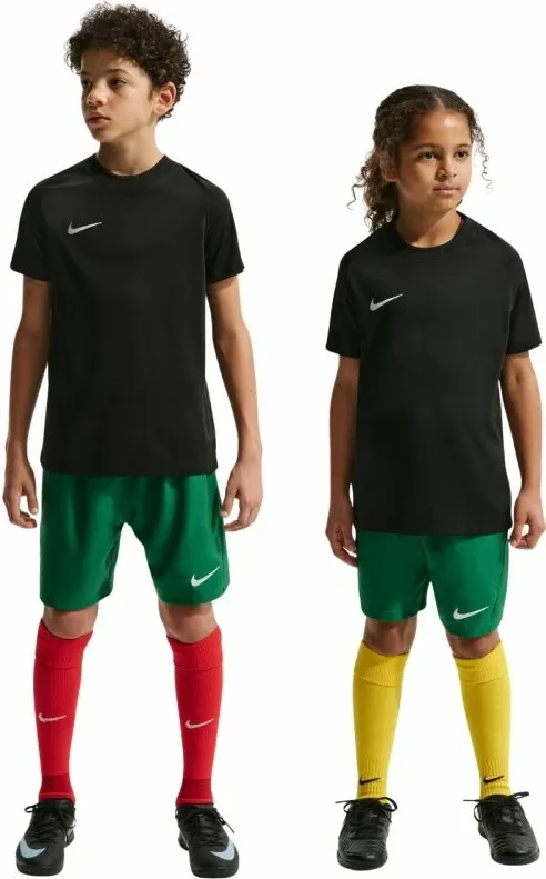 Pamja 7