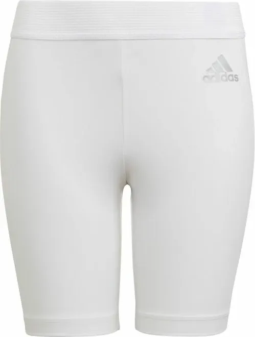 Pamja 1