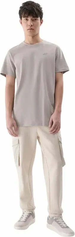 Pamja 4
