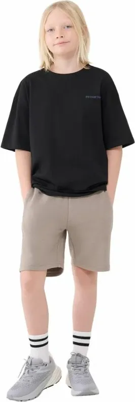 Pamja 2