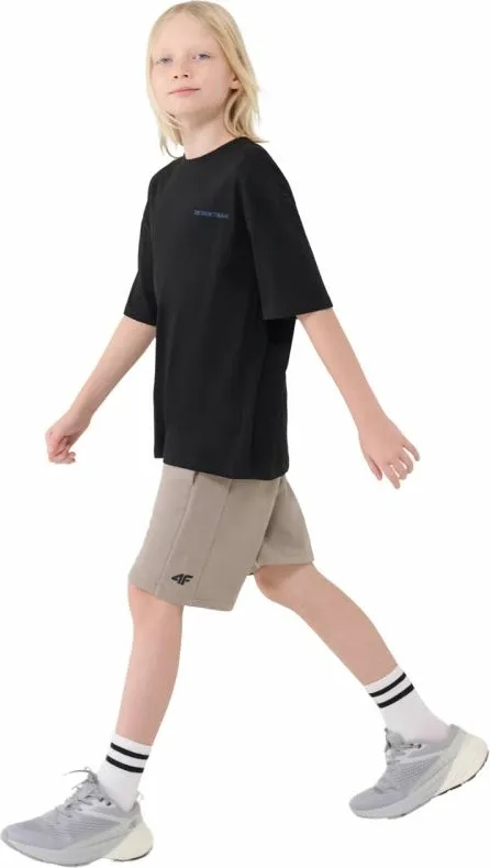 Pamja 4