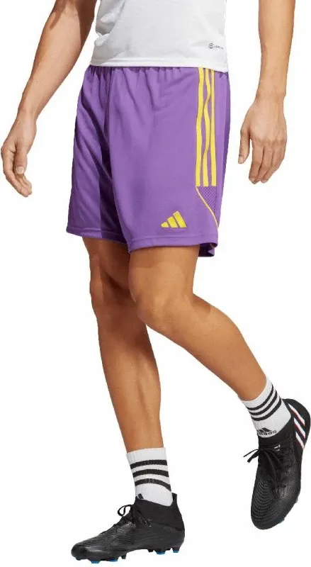 Pamja 2