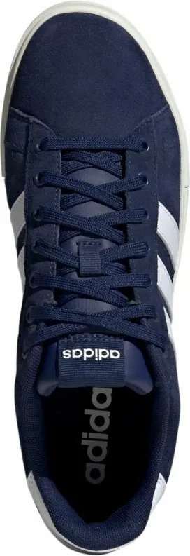Pamja 4