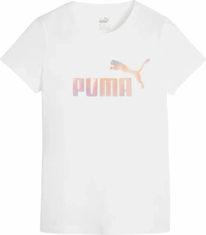 Pamja 1