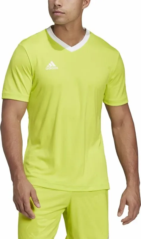Maicë futbolli për meshkuj adidas, e gjelbër - 5