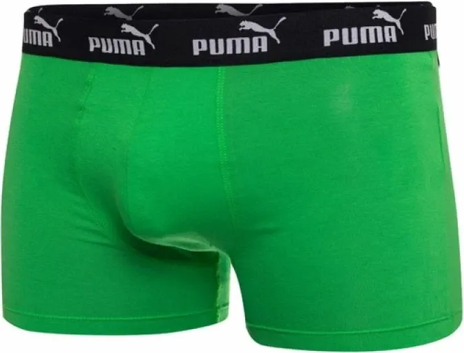 Pamja 3