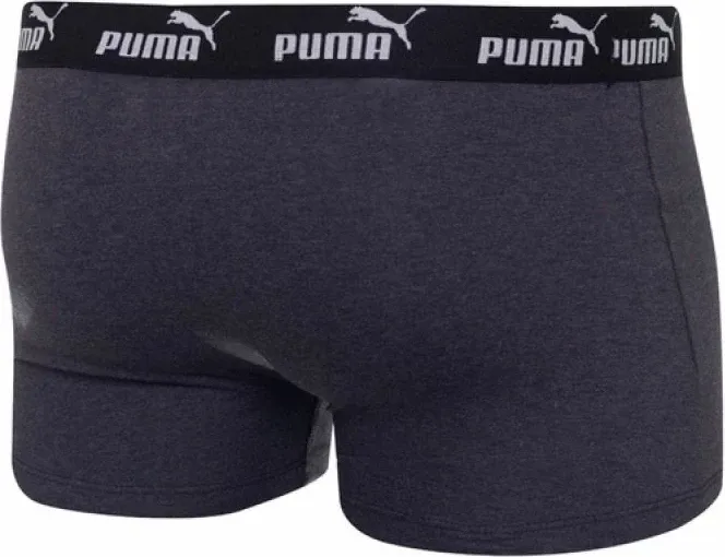 Pamja 4