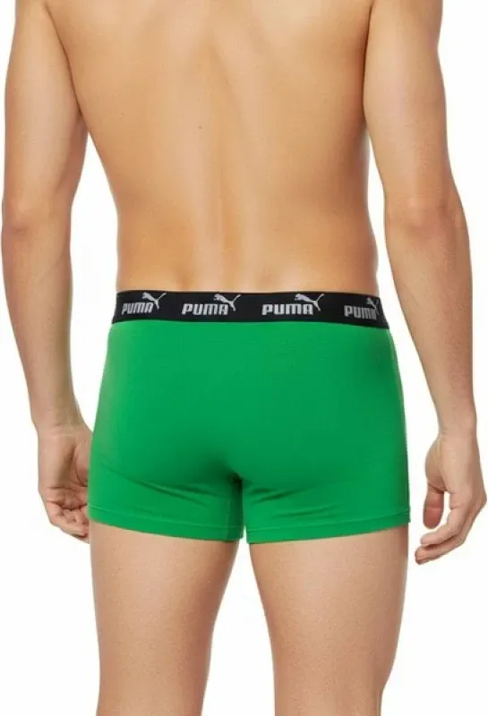 Pamja 6