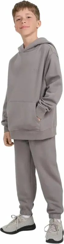 Pamja 3