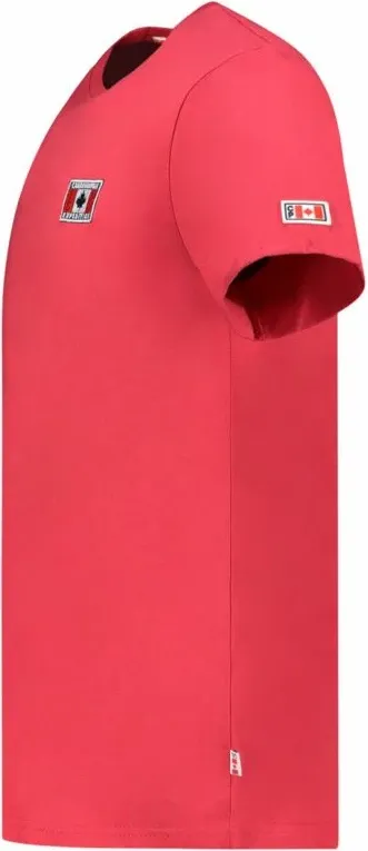 Pamja 4