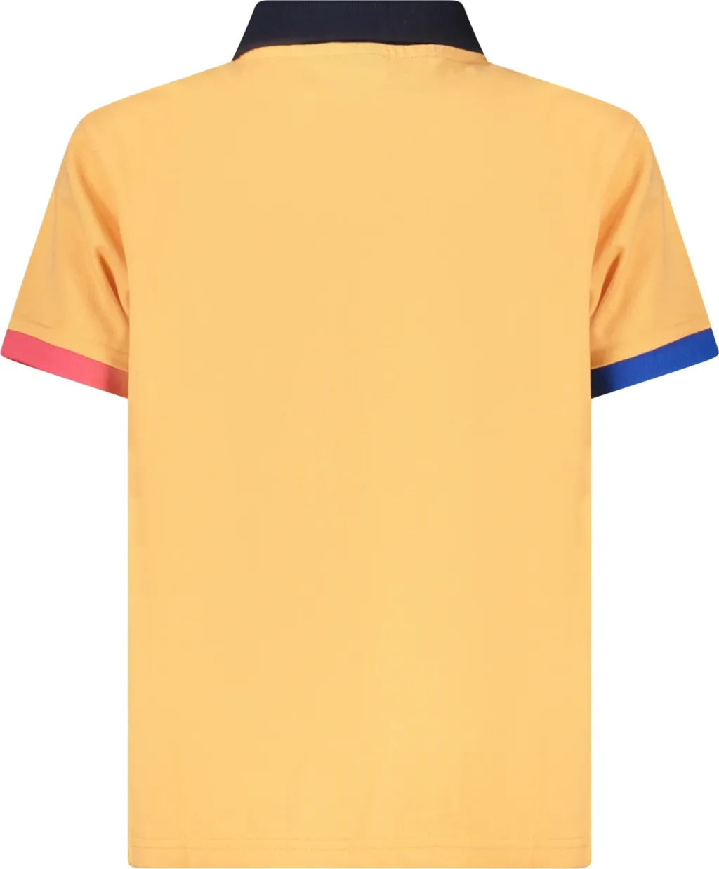 Pamja 2