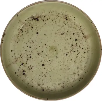 Tas i cekët Fine Dine Olive 200 mm, porcelan, set 4 copë, i gjelbër