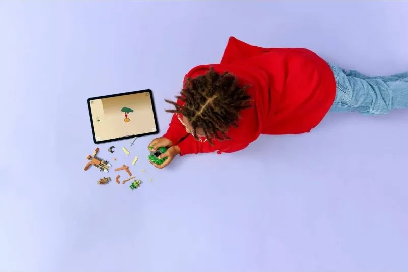 Pamja 8