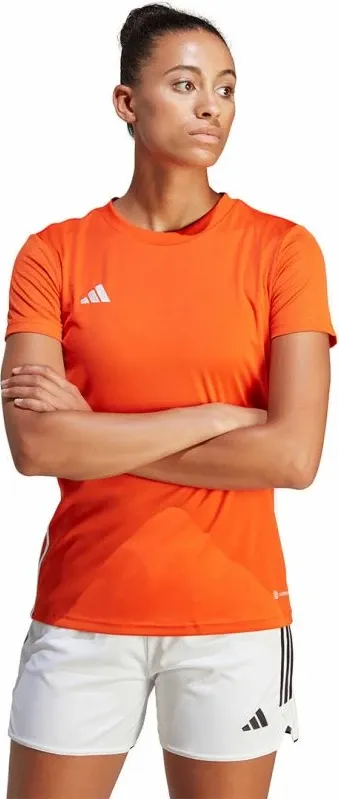 Pamja 3