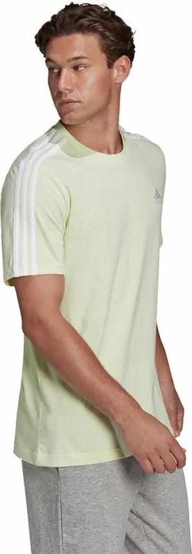 Pamja 4