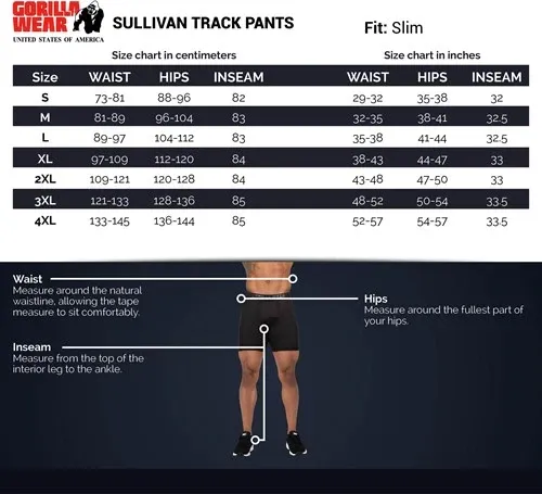 Sullivan Track Pants- Gray - 3