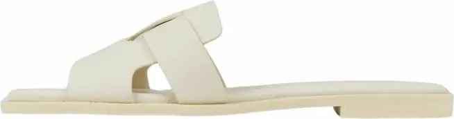 Pamja 5