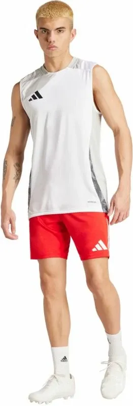 Pamja 8