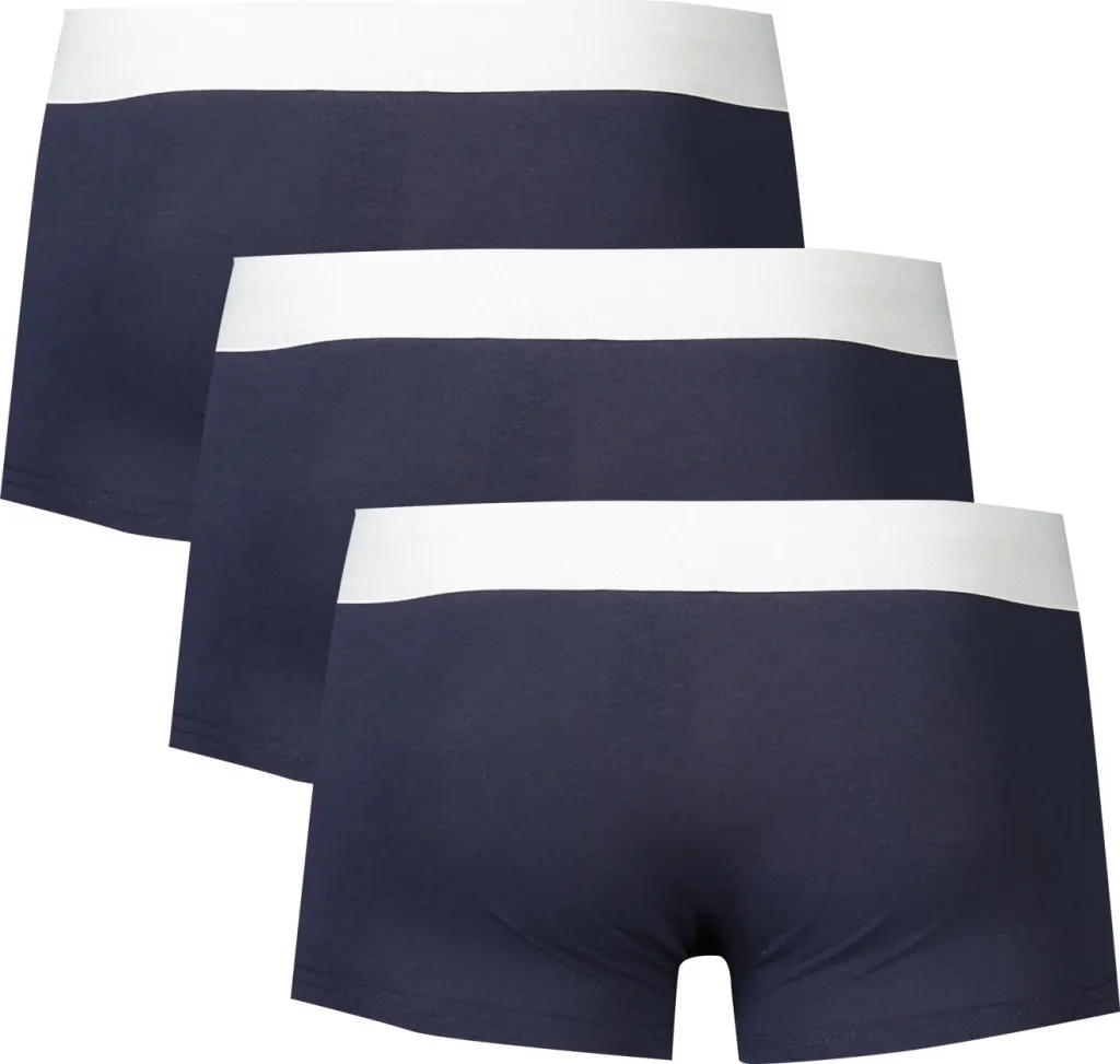 Të brendshme për meshkuj BIKKEMBERGS, blu - 2