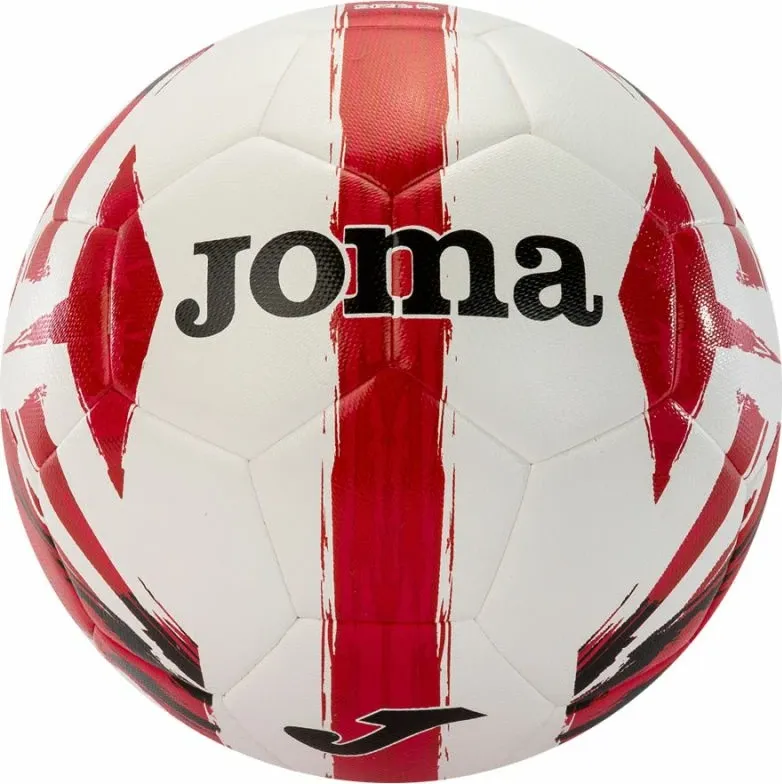 Pamja 1