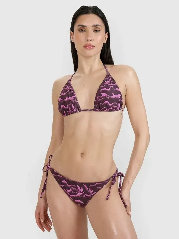 Pamja 2