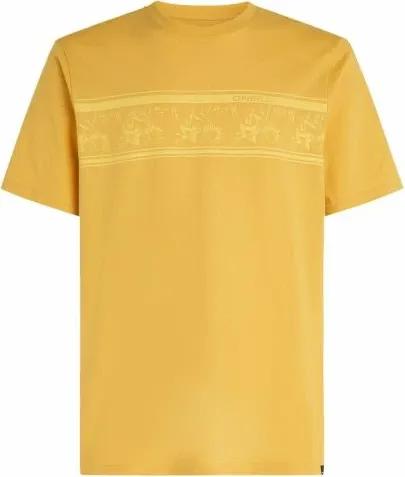 Pamja 1
