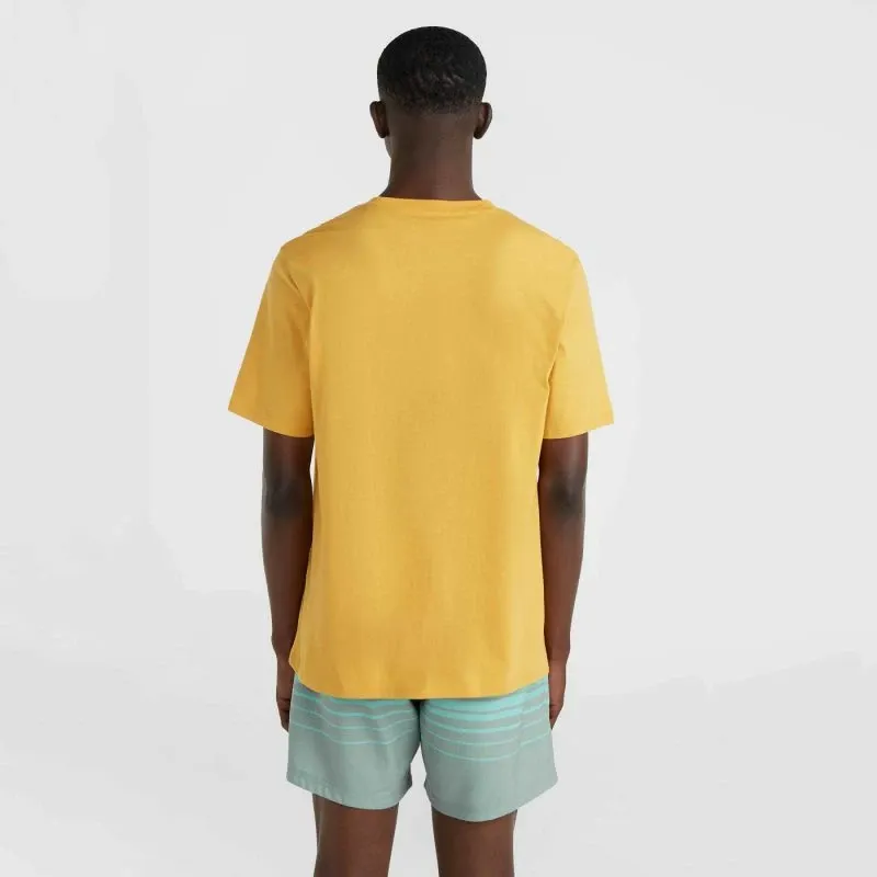 Pamja 4